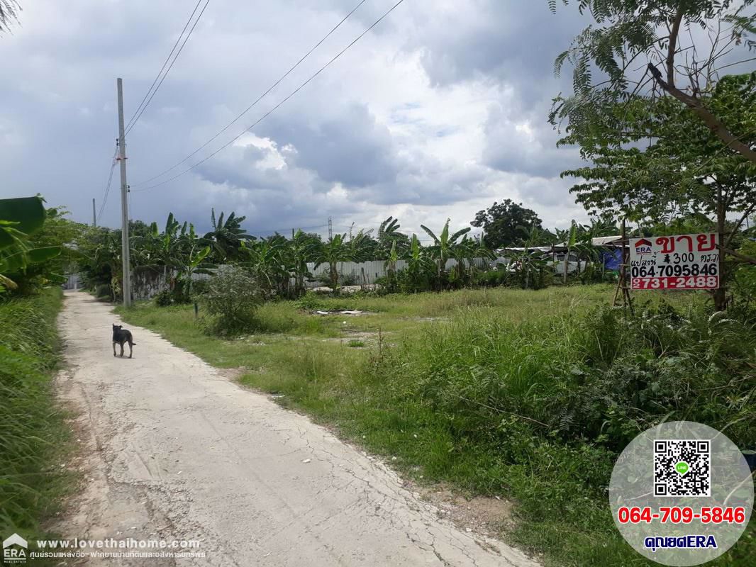 ที่ดินเปล่า-300-ตรว-ถพัฒนาชนบท3-ใกล้ถนนศรีนครินทร์-ร่มเกล้า